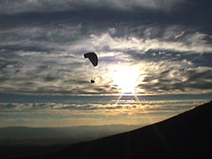 evening flight at Herd Peak