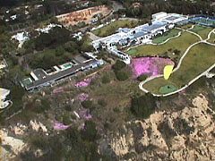 mansion and straw flowers in Torrey Pines, California