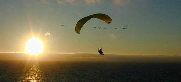 Neil Kruse and birds near Pacifica, California