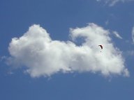 Josh Cohn and squirrel cloud