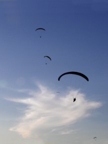 gliders and cloud