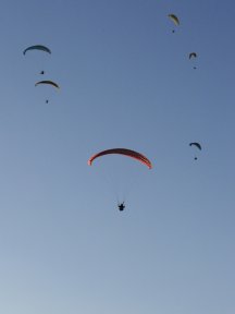 grouped gliders