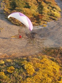 Landing at the Dumps