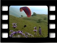 frame from Spring Conditions movie